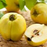 fruits benefits